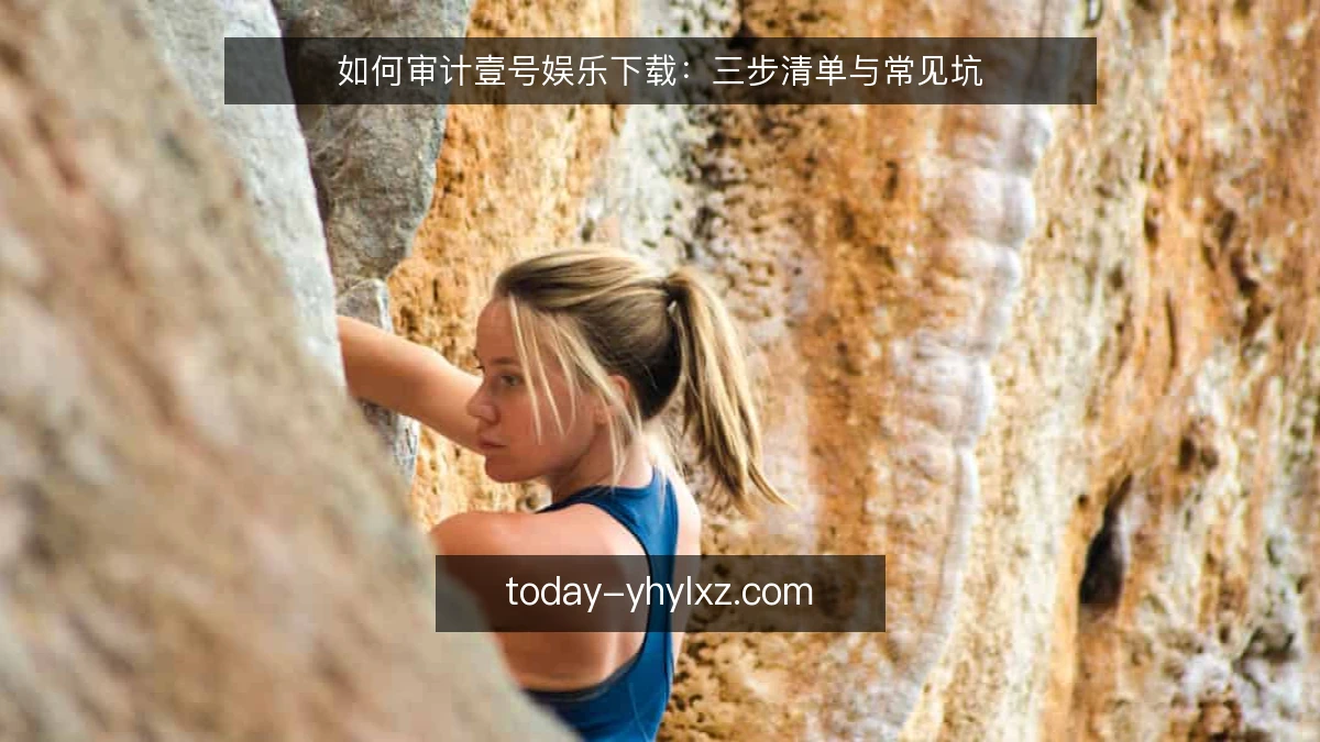 如何审计壹号娱乐下载:三步清单与常见坑