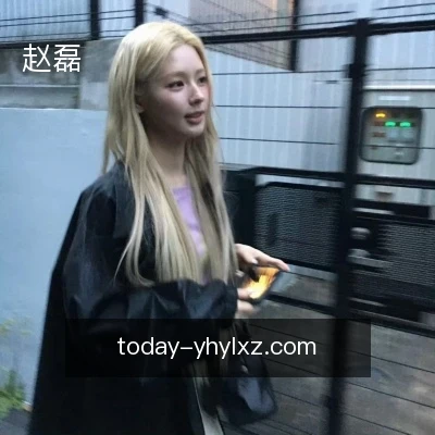 赵磊